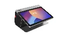 falcon 1.webp